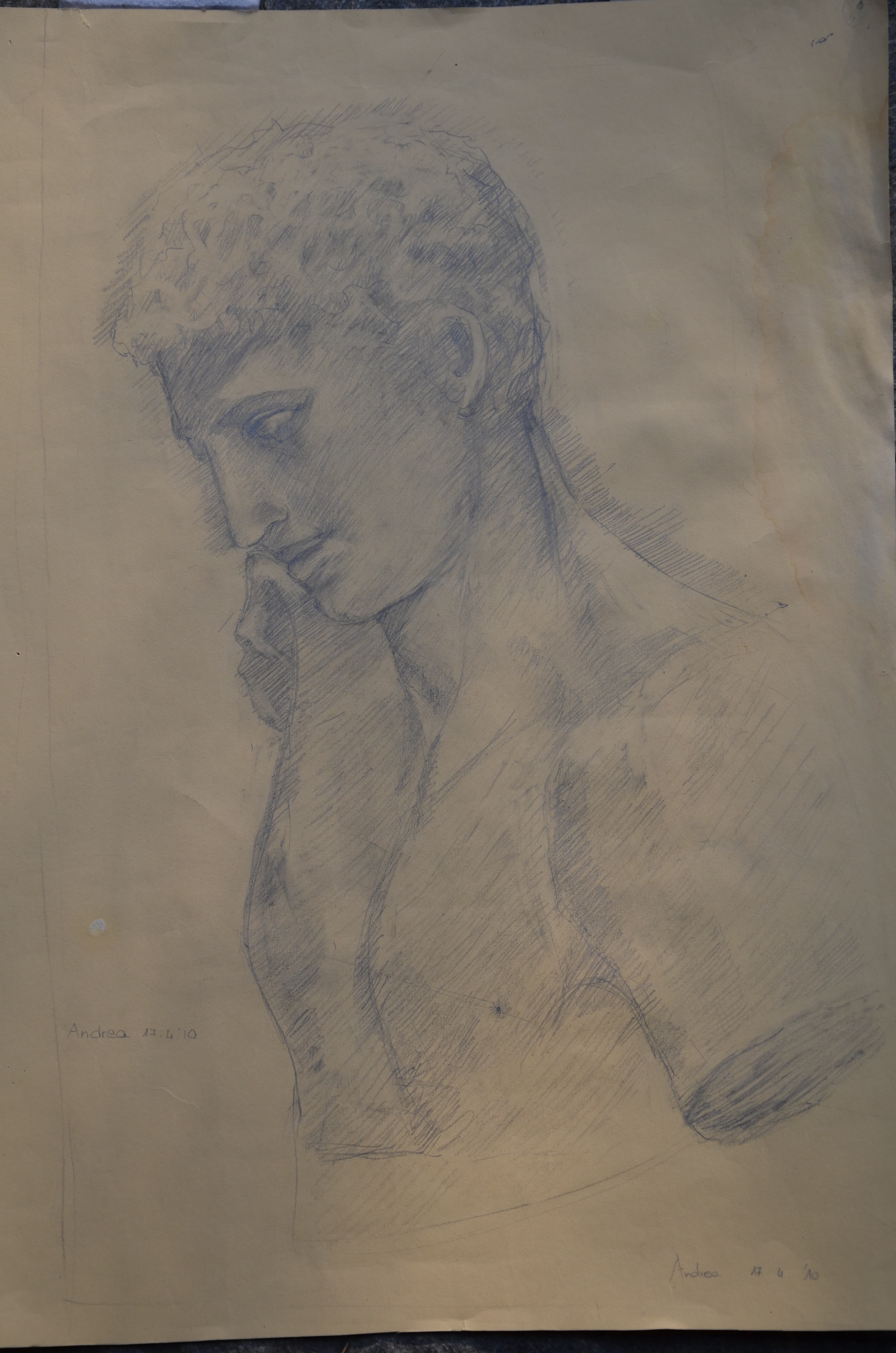 Anatomical Study — Skin