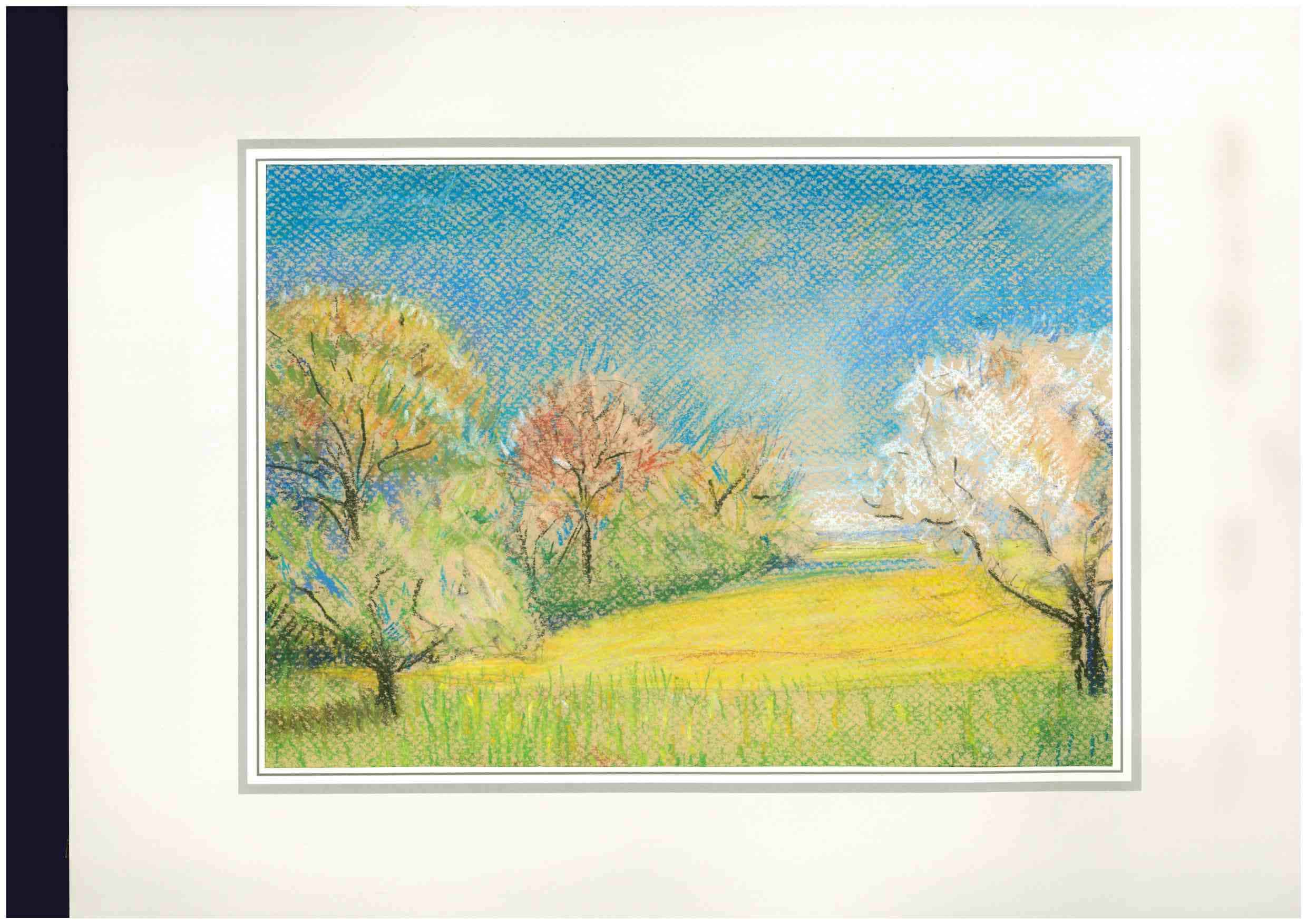 Natural Landscape